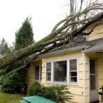 Storm Damage in Greensboro, North Carolina
