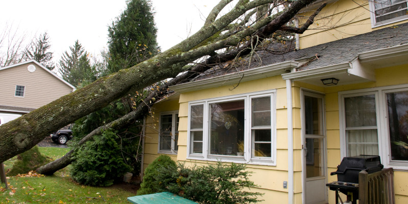 Storm Damage in Burlington, North Carolina