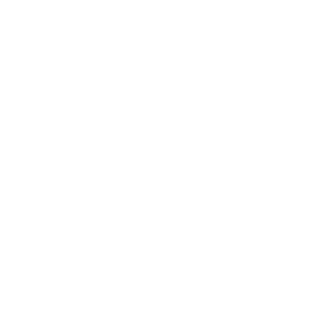 The type of shingle chosen