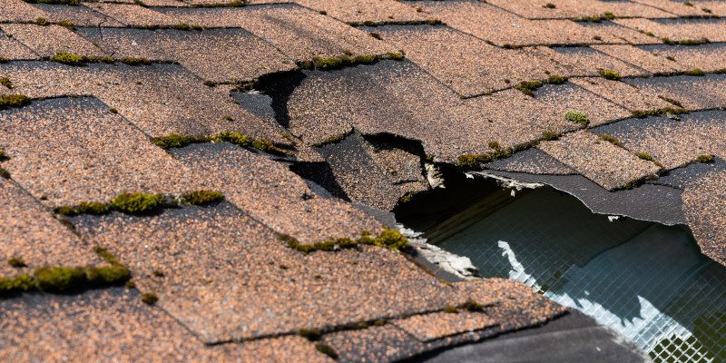 Here’s Why You Should Leave Roofing Repair to the Professionals